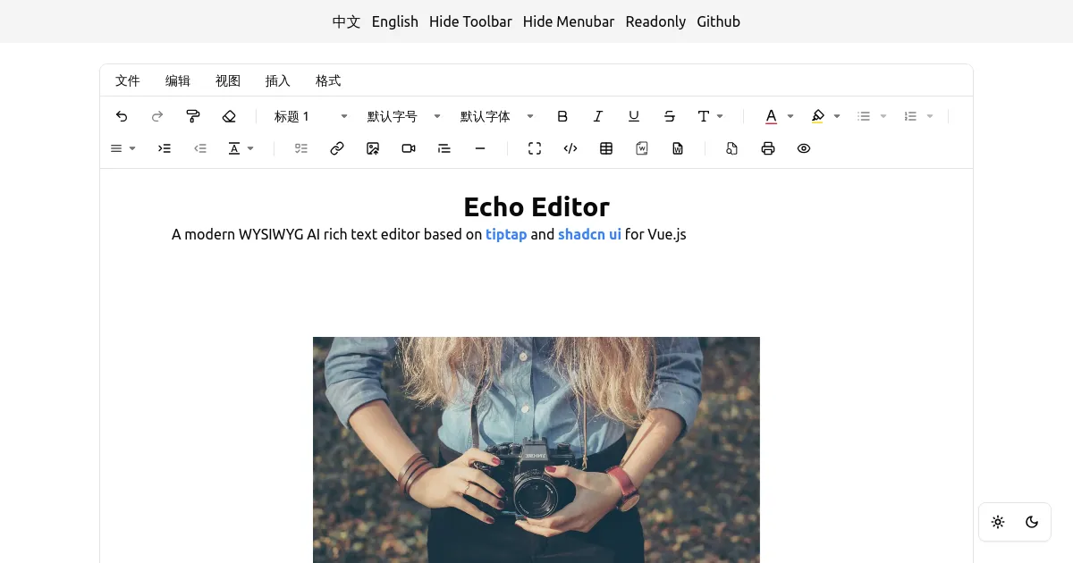 Echo Editor Examples
