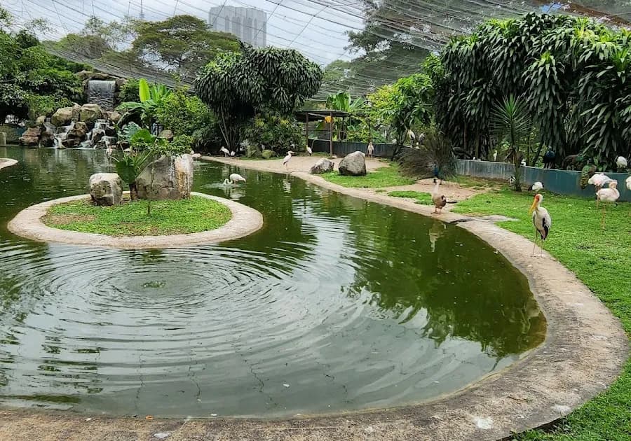 KL Bird Park