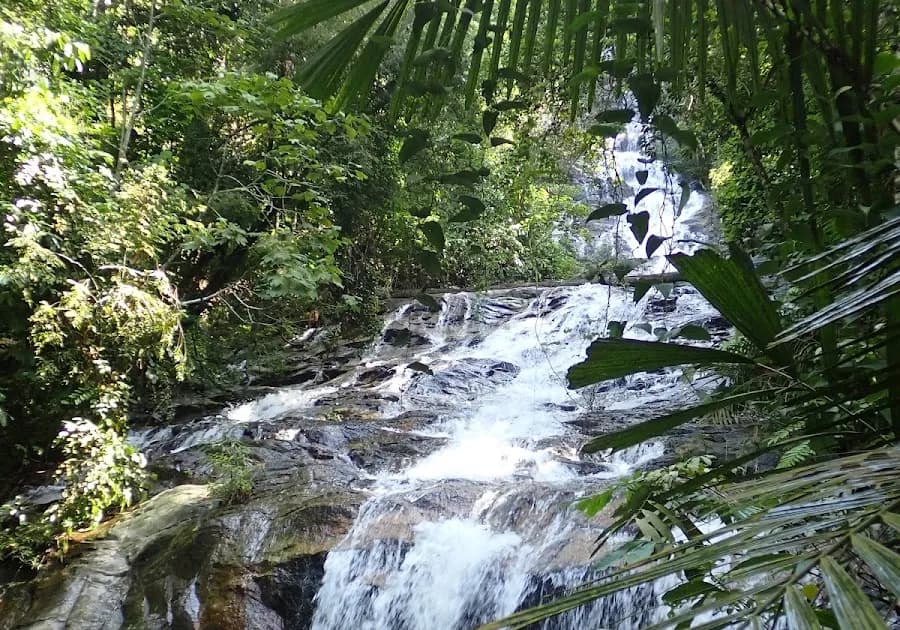 Taman Eko Rimba Kanching by Tourism Selangor