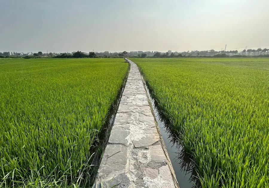 Mộ ông Tani Yajirobei