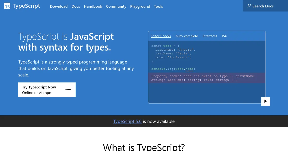 TypeScript: JavaScript With Syntax For Types.
